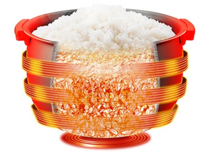 Tiger IH rice cooker 5.5 cups 220-230V specifications silver black JKT-F10W-SK